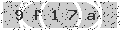 verify code