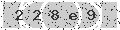 verify code
